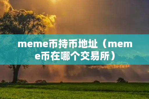 meme币持币地址（meme币在哪个交易所）