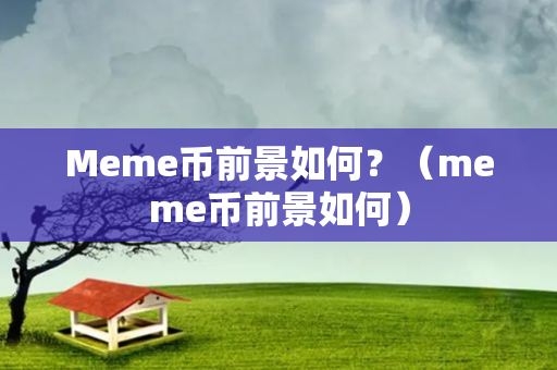 Meme币前景如何？（meme币前景如何）