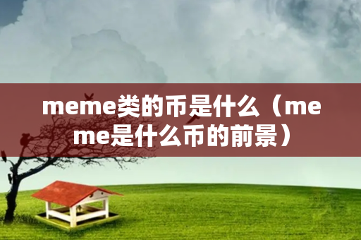 meme类的币是什么（meme是什么币的前景）