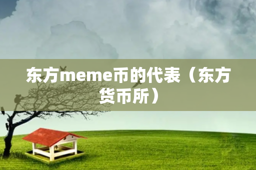 东方meme币的代表（东方货币所）