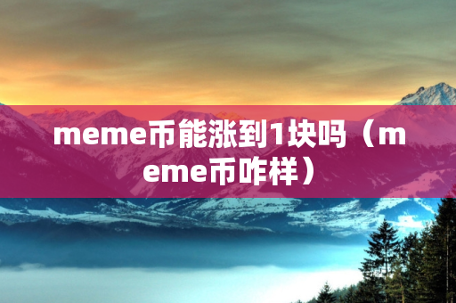 meme币能涨到1块吗（meme币咋样）