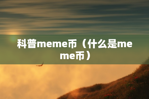 科普meme币（什么是meme币）