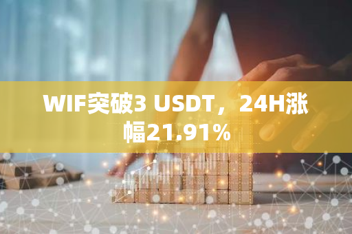 WIF突破3 USDT，24H涨幅21.91%