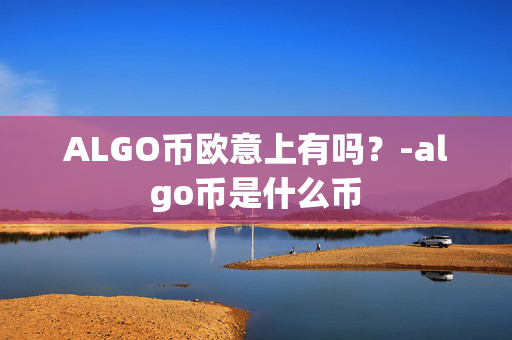 ALGO币欧意上有吗？-algo币是什么币