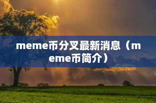 meme币分叉最新消息（meme币简介）