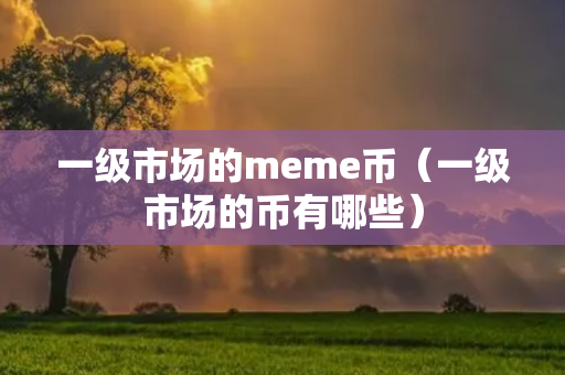 一级市场的meme币（一级市场的币有哪些）