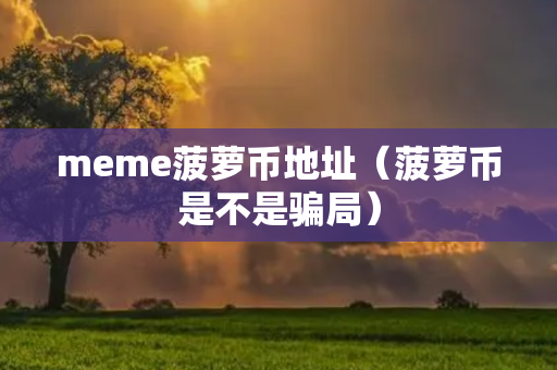 meme菠萝币地址（菠萝币是不是骗局）