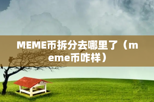 MEME币拆分去哪里了（meme币咋样）