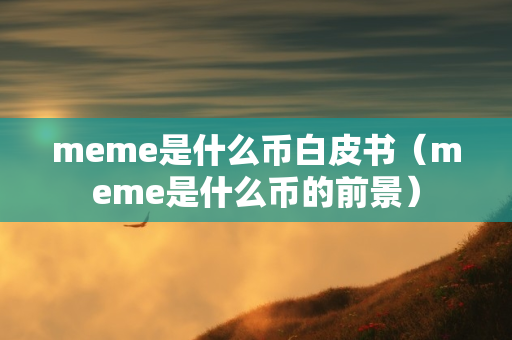 meme是什么币白皮书（meme是什么币的前景）