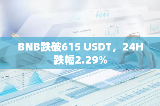 BNB跌破615 USDT，24H跌幅2.29%