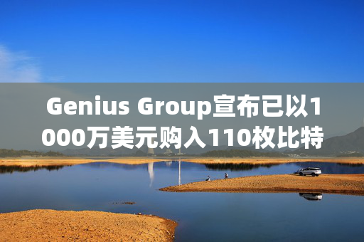 Genius Group宣布已以1000万美元购入110枚比特币