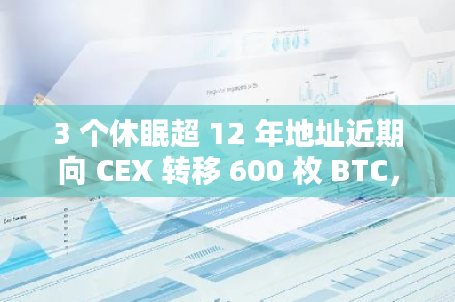 3 个休眠超 12 年地址近期向 CEX 转移 600 枚 BTC，约 4600 万美元