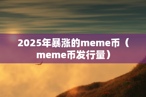 2025年暴涨的meme币（meme币发行量）