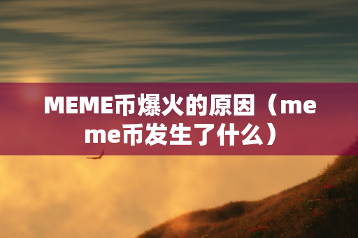 MEME币爆火的原因（meme币发生了什么）