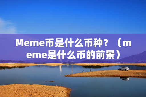 Meme币是什么币种？（meme是什么币的前景）