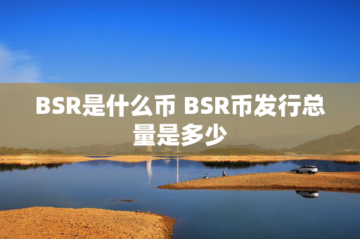 BSR是什么币 BSR币发行总量是多少