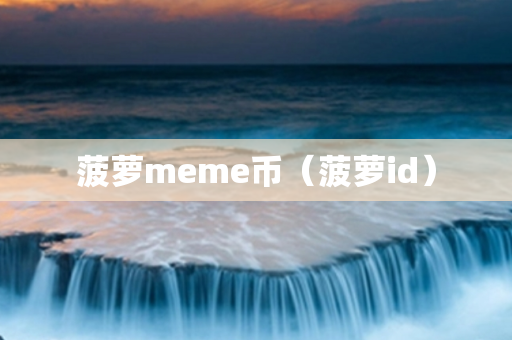 菠萝meme币（菠萝id）