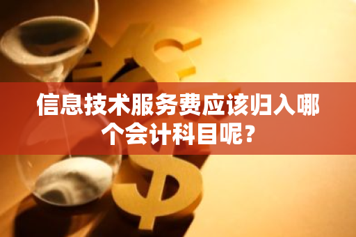 信息技术服务费应该归入哪个会计科目呢？