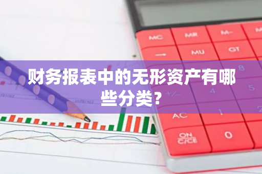 财务报表中的无形资产有哪些分类？