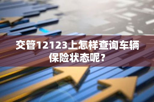 交管12123上怎样查询车辆保险状态呢？