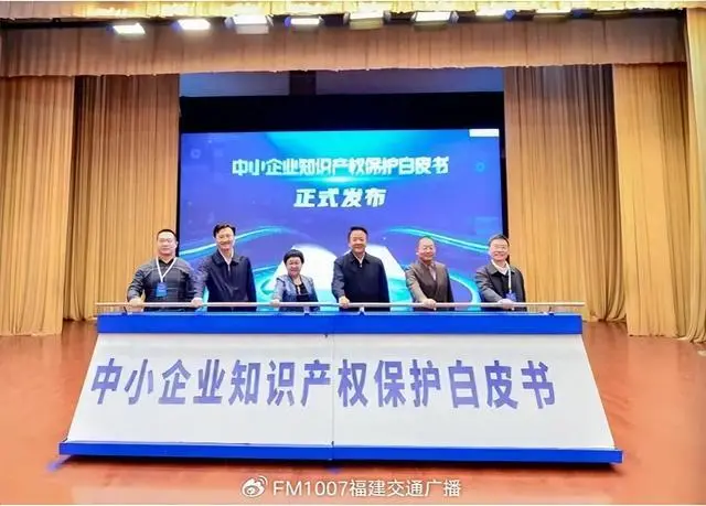 中国法学会案例法学研究会2024年年会：跨境知产垄断、恶意诉讼问题受关注