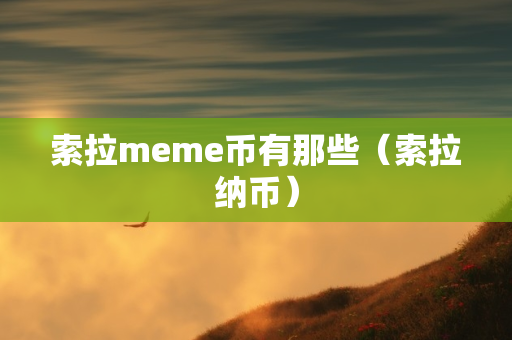 索拉meme币有那些（索拉纳币）