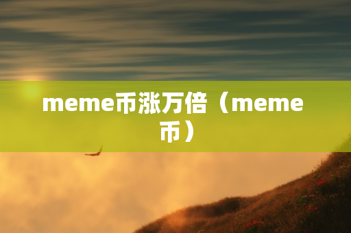 meme币涨万倍（meme 币）