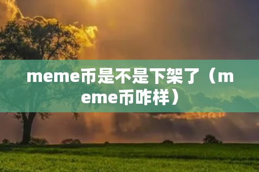 meme币是不是下架了（meme币咋样）