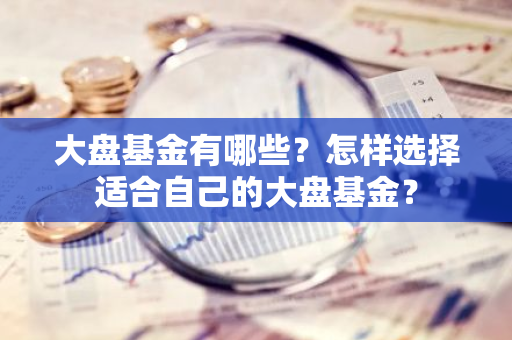 大盘基金有哪些？怎样选择适合自己的大盘基金？