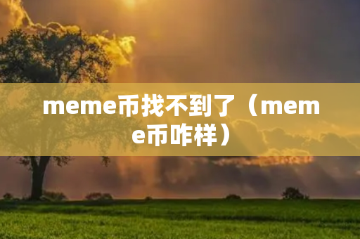 meme币找不到了（meme币咋样）