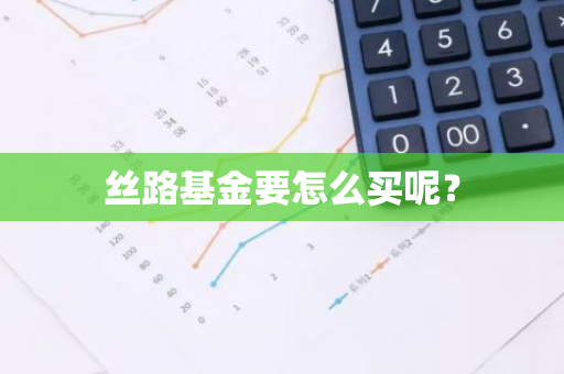 丝路基金要怎么买呢？