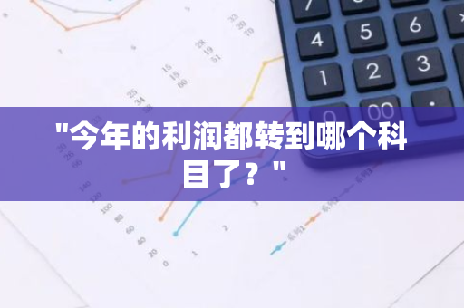 "今年的利润都转到哪个科目了？"