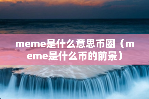 meme是什么意思币圈（meme是什么币的前景）