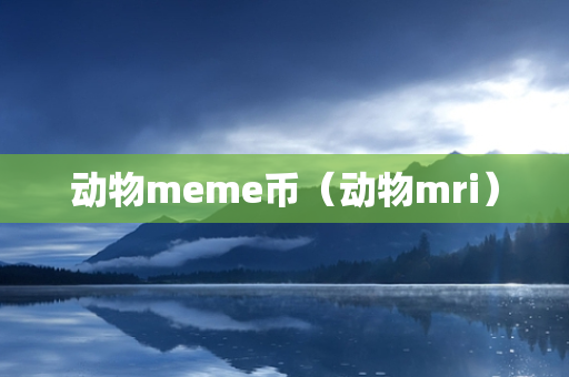 动物meme币（动物mri）