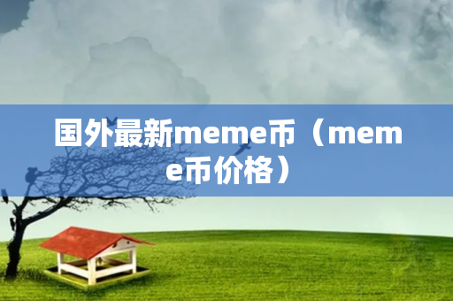 国外最新meme币（meme币价格）