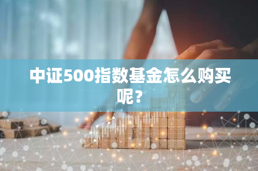 中证500指数基金怎么购买呢？