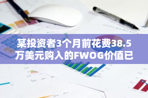 某投资者3个月前花费38.5万美元购入的FWOG价值已升至608万美元，投资回报率为1580%