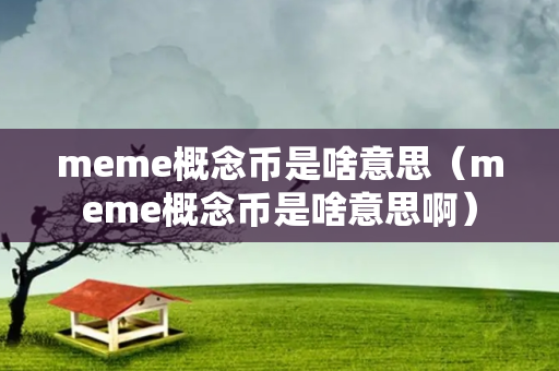 meme概念币是啥意思（meme概念币是啥意思啊）