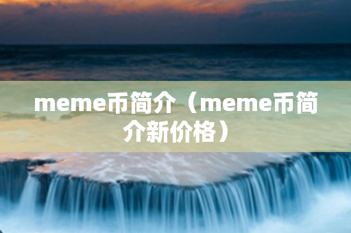 meme币简介（meme币简介新价格）