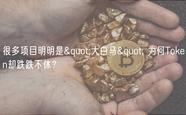 很多项目明明是"大白马" 为何Tokn却跌跌不休？