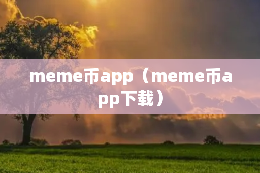 meme币app（meme币app下载）