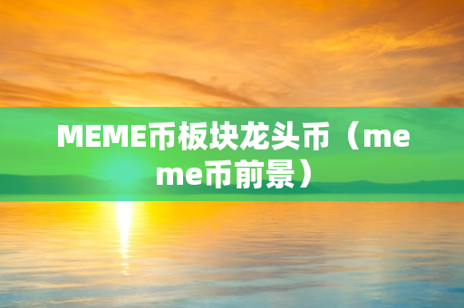 MEME币板块龙头币（meme币前景）