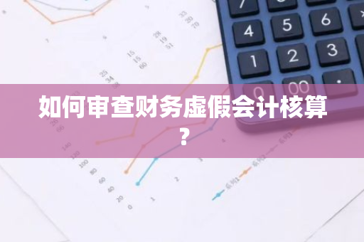 如何审查财务虚假会计核算？