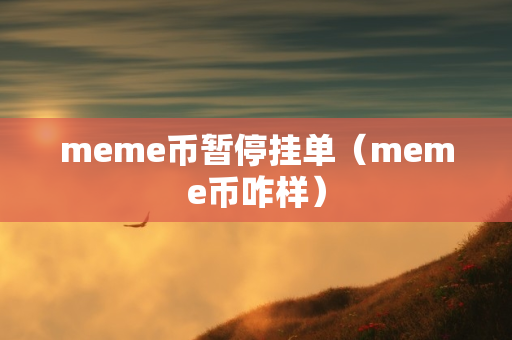 meme币暂停挂单（meme币咋样）