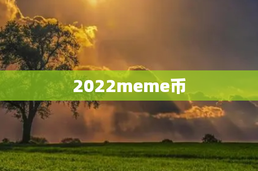 2022meme币