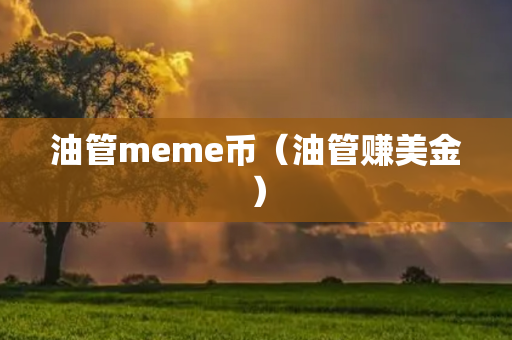 油管meme币（油管赚美金）