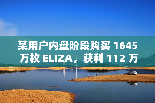 某用户内盘阶段购买 1645 万枚 ELIZA，获利 112 万美元