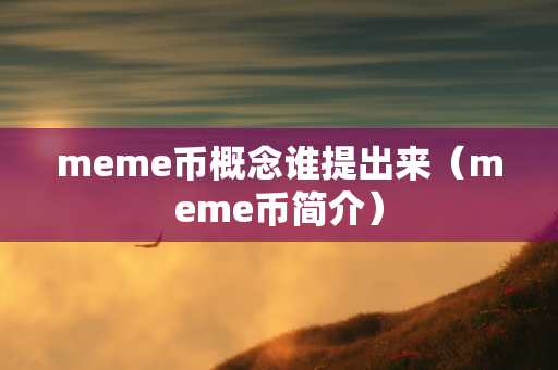 meme币概念谁提出来（meme币简介）