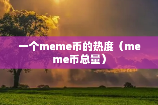 一个meme币的热度（meme币总量）