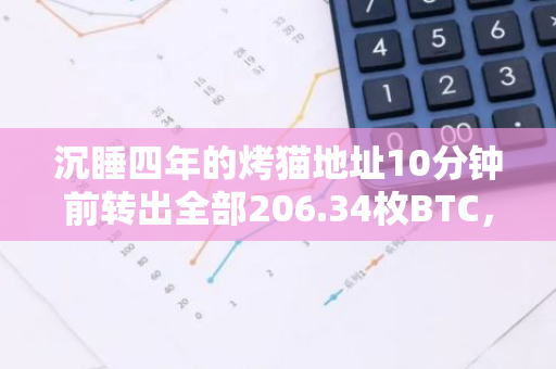 沉睡四年的烤猫地址10分钟前转出全部206.34枚BTC，价值1812万美元